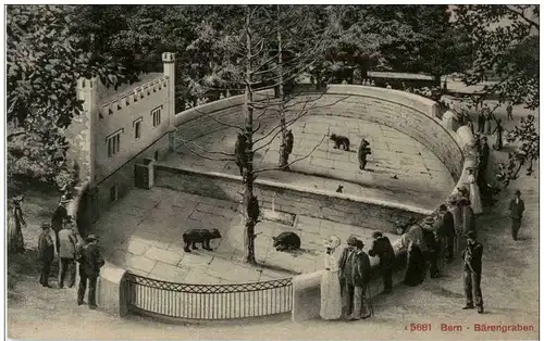 Bern - Bärengraben -133588