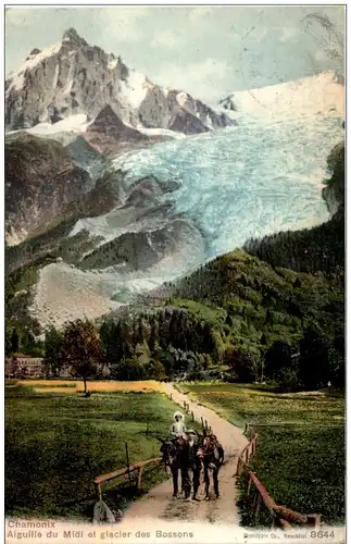 Chamonix - Aiguille du Midi et glacier des Bossons -132104