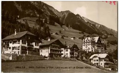 Chateau d Oex - Les Villas et le Grand Hotel -132416