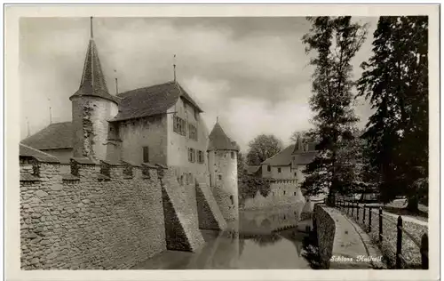 Schloss Hallwil -174682
