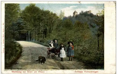 Waldweg bei Stein am Rhein -174946