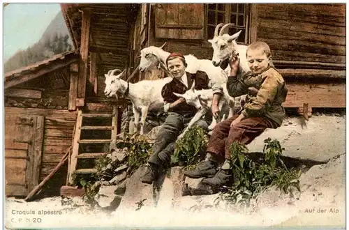 Auf der Alp - Goat Ziegen -133028