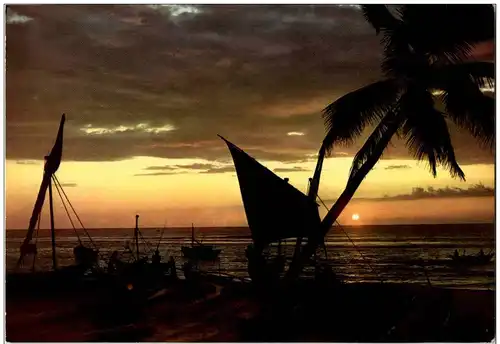 Sunset in Ceylon -131490