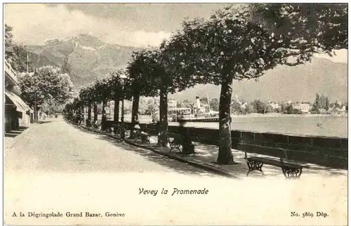 Vevey la Promenade -133742