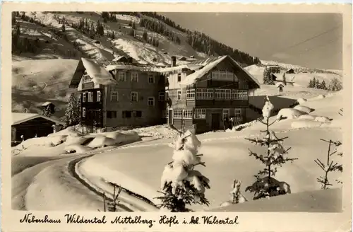 Nebenhaus Wildental, Mittelberg - Höfle i. kl. Walsertal -347208