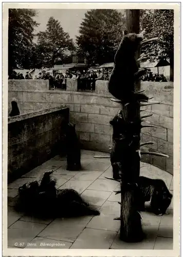 Bern - La Fosse aux Ours -134084