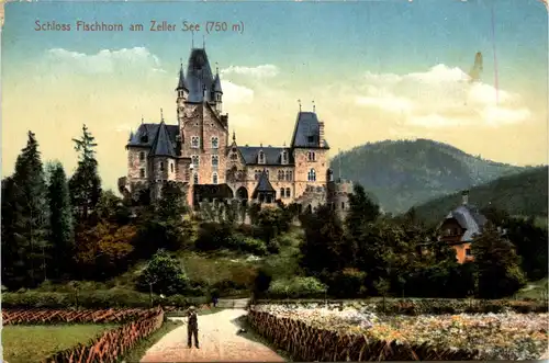 Schloss Fischhorn am Zeller See -347348