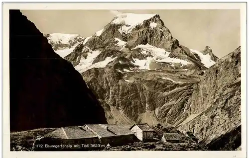Baumgartenalp mit Tödi -134158
