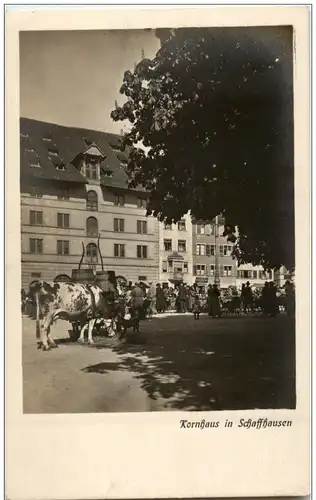 Kornhaus in Schaffhausen -134584