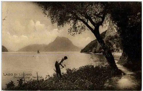 Lago di Lugano - Strada per Gandria -136056