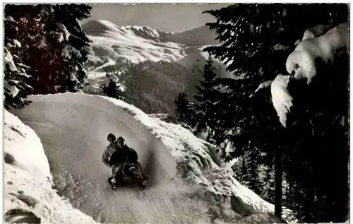 Davos - Schlittelbahn -135850