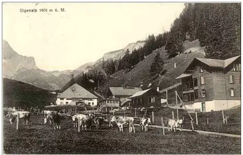 Lenk i S. - Ifigenalp -134826