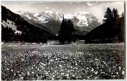 Champex et le Grand Combin -135742