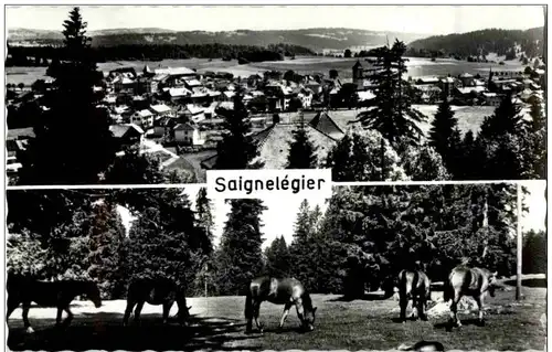 Saignelegier -136946