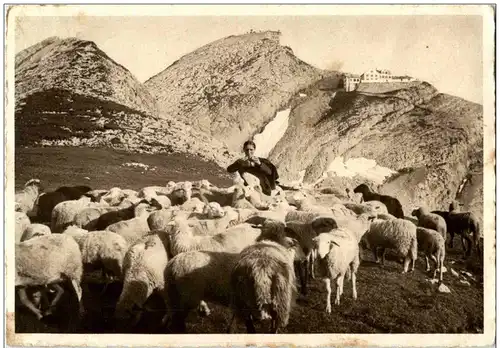 Säntis - Gasthaus und Observatorium -133956