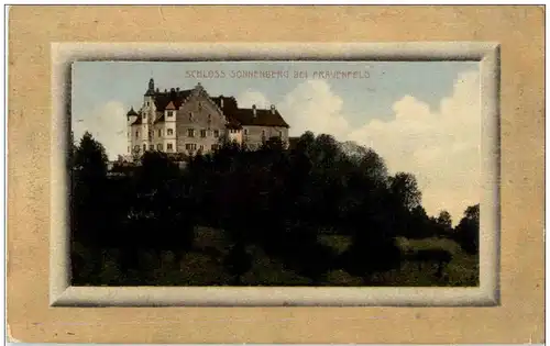 Schloss Sonnenberg bei Frauenfeld -136854