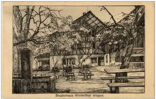 Winterthur - Bruderhaus - Wildpark -135262
