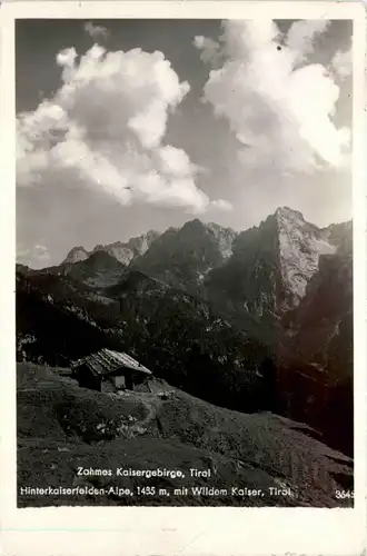 Kaisergebirge, Hinterkaiserfelden-Alpe m. wildem Kaiser -350140