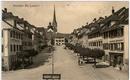 Münster - Kt. Luzern -134744