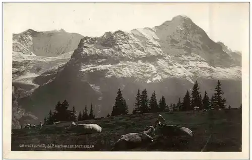 Grindelwald - Alp Nothalde -137974