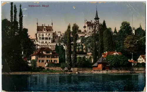Wädenswil Bürgli -138072