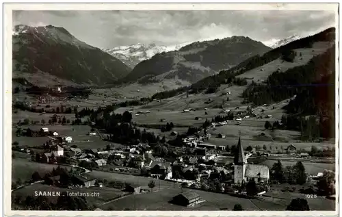 Saanen -134878