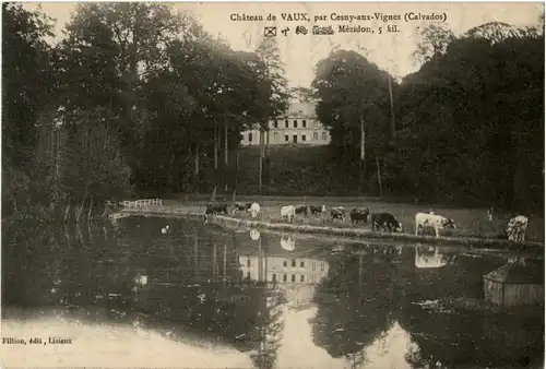 Cesny aux Vignes - Chateau de Vaux -10024