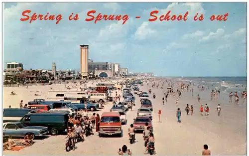 Daytona Beach - Spring is Sprung -137802
