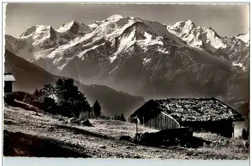 Chamonix - Paturage de Plaine Joux -137598