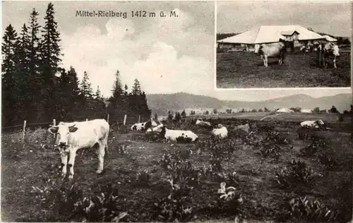 Mittel Rielberg -138412