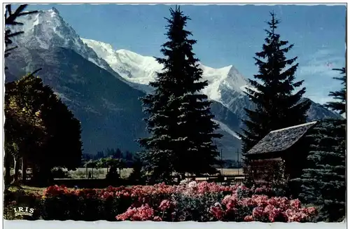 Chamonix -L Aiguille du Midi -137602