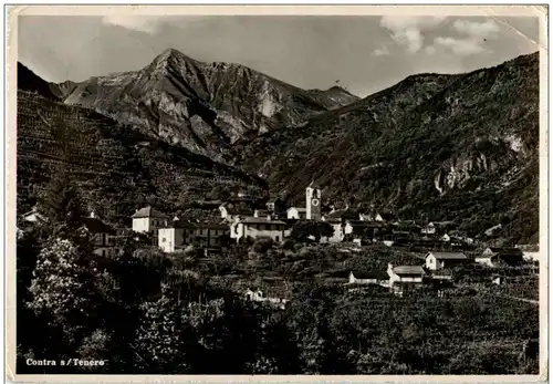 Contra s Tenero -136480
