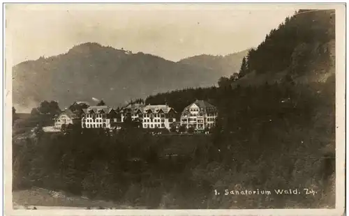 Sanatorium Wald -138064