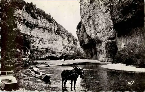 Gorges du Tarn -10590