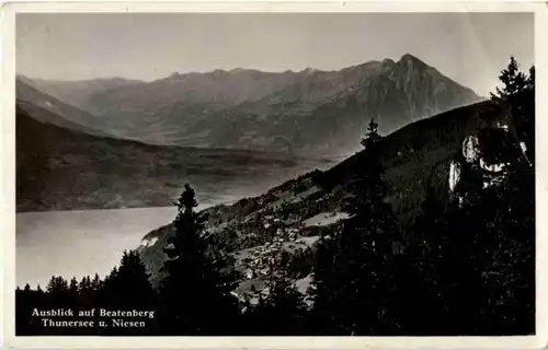 Ausblick auf Beatenberg -139342