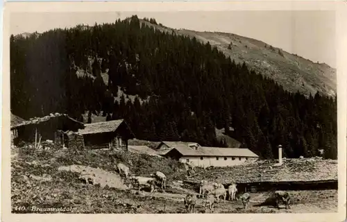 Braunwaldalp -139254