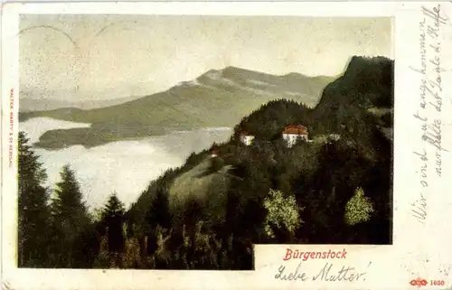 Bürgenstock -139372