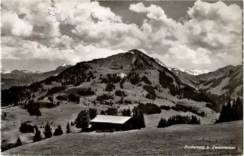 Rinderberg Zweisimmen -139528