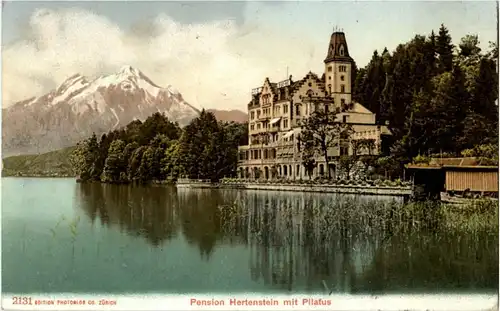 Pension Hertenstein mit Pilatus -139146