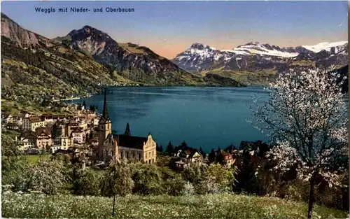 Weggis mit Nieder und Oberbauen -139094