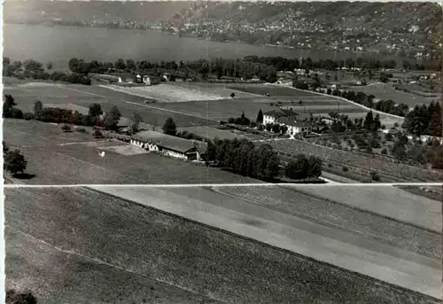 Tenero - Tenuta Agricola -140204