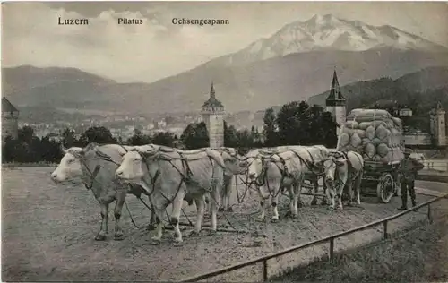 Luzern - Ochsengespann - Kutsche -141086