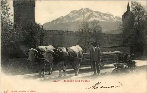 Luzern - Ochsenkarren -141092