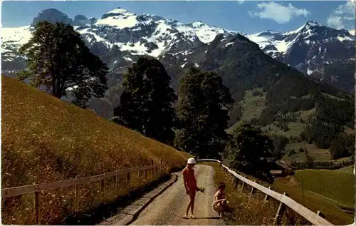 Lenk - Bühlbergstrasse -139458