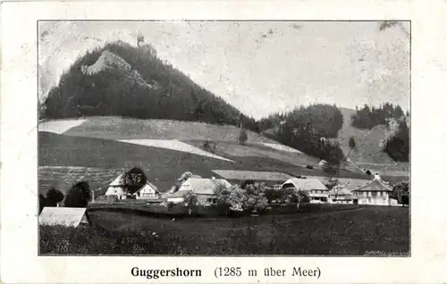 Guggershorn -142114