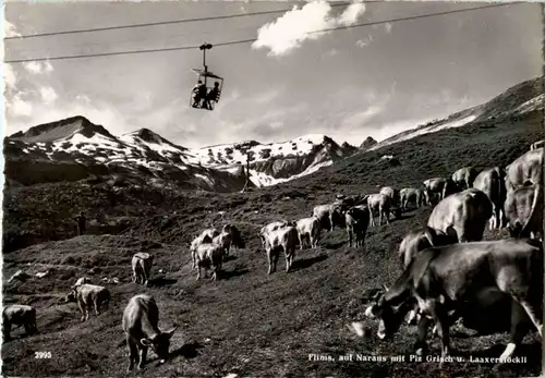 Flims auf Naraus -143924