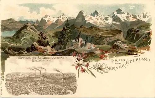 Gruss vom Berner Oberland - Litho -141862