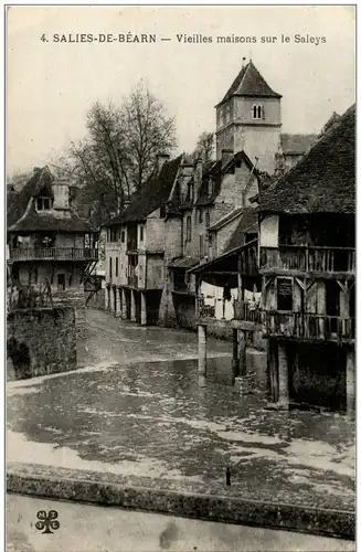 Salies de Bearn - Vielles maisons sur le Saleys -8692