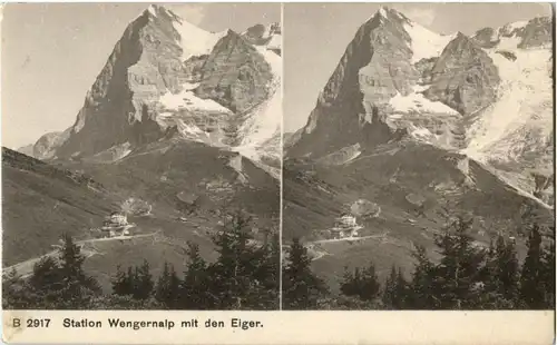 Station Wengernalp - Stereokarte -144620