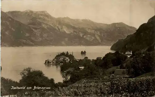 Iseltwald am Brienzersee -142220